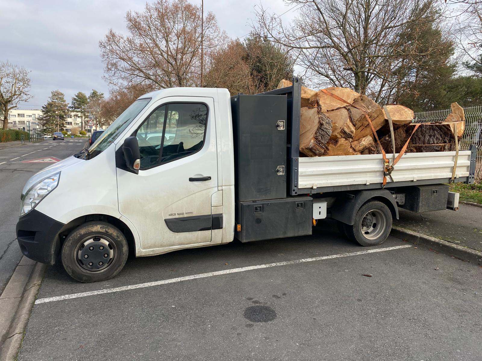 Élagage d’un arbre à Versailles par notre grimpeur professionnel